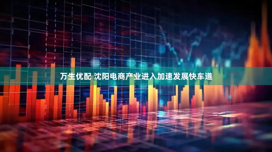 万生优配 沈阳电商产业进入加速发展快车道