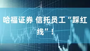 哈福证券 信托员工“踩红线”！