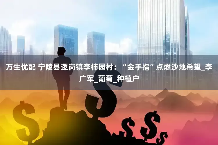 万生优配 宁陵县逻岗镇李柿园村:“金手指”点燃沙地希望_李广军_葡萄_种植户